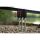Korda Basix Mini Stow Red