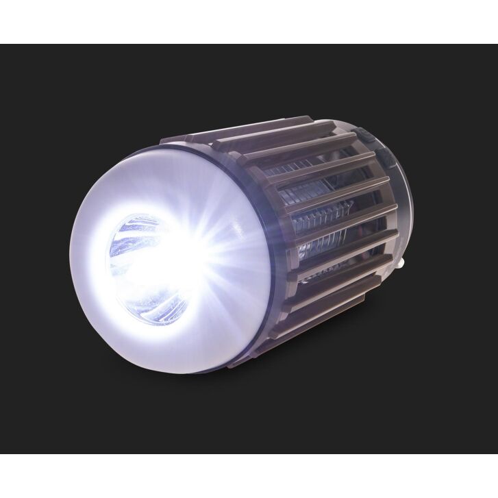 Anaconda Mozzi Killer