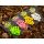 Korda Slow Sinking Corn IB (Pink)
