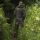 Nash Zero Tolerance Extreme Waterproof Trousers Camo XXXL