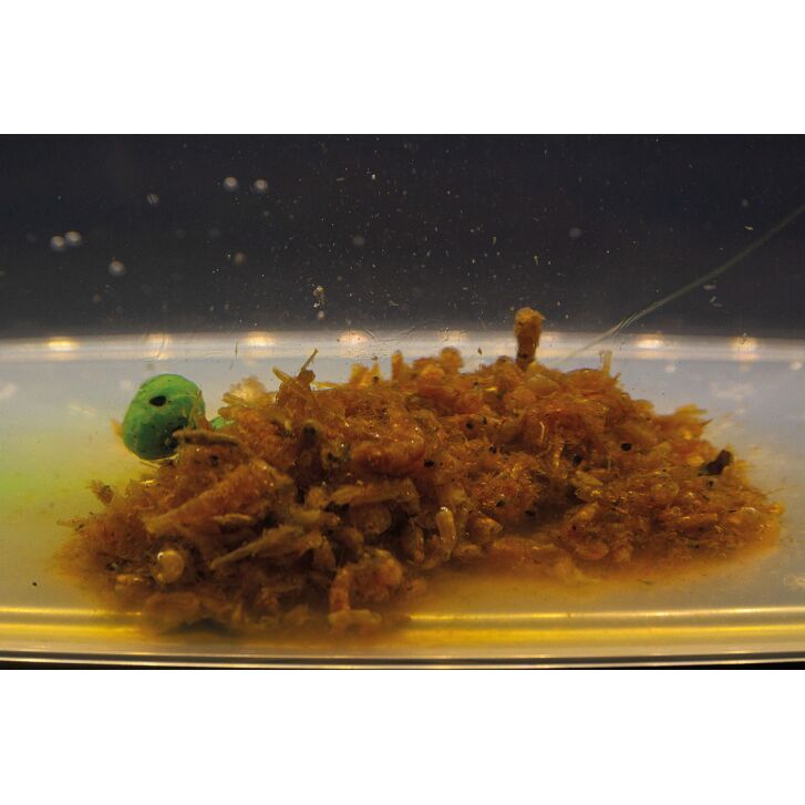 My Baits Destruction Seafood