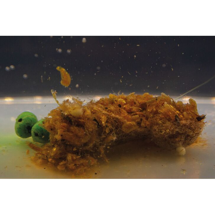 My Baits Destruction Seafood