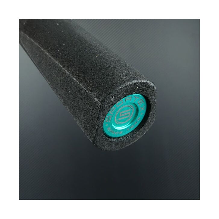 Sportex Comp.Carp CS-5 Stalker 10ft 3,00lbs