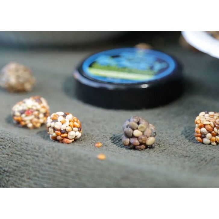 Kryston Bogey - The Revolutionary Particle Fixer