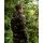 Korda Zip Hoodie Dark Kamo M