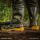 Vass E Nova 700 Series Thigh Wader 47 UK13