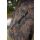 One More Cast PB Sherpa Fleece Large