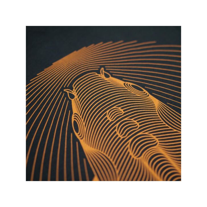 Kumu T-Shirt Ripples 4XL