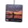 Nash Make It Happen Car Air Freshener Cast