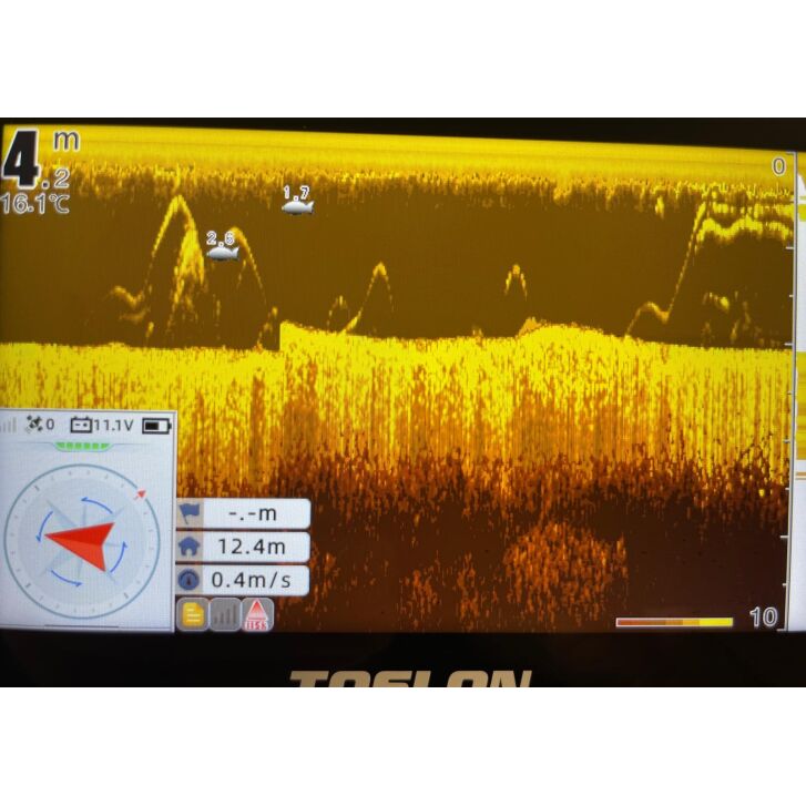 Carp Royal DUKE Pro
