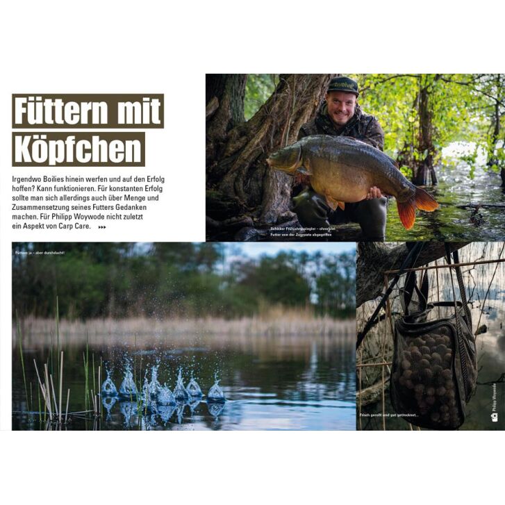 Carp in Focus 108
