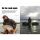 Carp in Focus 108