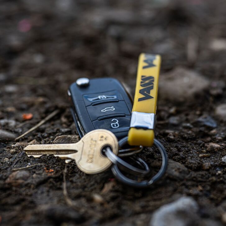 Vass Sleutelhanger Lus