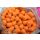 Mainline Match Dumbell Wafters 10mm Oranje - Chocolade