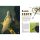 Carp in Focus 111