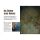 Carp in Focus 111