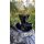 CARP ROYAL Hurricane Bait Spreader Huurversie