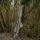 Nash Subterfuge Hi Protect 13ft 3 Rod Skin