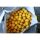 MTC Baits Boilie Big Banana - 5 kg - 20 mm