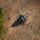 PB Products Bait Screw 360 Black 10 stuks