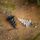 PB Products Bait Screw 360 Black 10 stuks