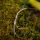 PB Products X-Stiff Curved Aligners haakmaat 1-4 Silt 8 stuks
