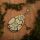 PB Products Swivel Pear Lead Gravel