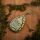 PB Products Swivel Pear Lead Gravel