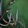 PB Products Curved KD-hook DBF maat 6 10 stuks