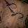 PB Products Chod Rig maat 4 Bait Screw 2 stuks