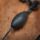 PB Products R2G SR Hit & Run Weighted Chod Leader 1g 90 Weed 2 stuks