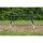 Avid Revolve Bivvy Table XL