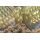 Preston ICS BAIT UP FEEDER - LARGE 20G