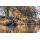 Preston Supera X 12ft Carp Waggler