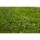 Preston Monster Xtreme Distance Feeder 3.8M