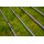 Preston Supera X Distance 4.0m Feeder
