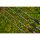 Preston Supera X Distance 4.2m Feeder