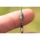 Preston Feeder Links Stiff Long 80mm