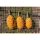 Preston ICS In-Line Dura Flat Method - Medium 60G
