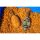 Preston ICS In-Line Dura Flat Method - Medium 60G