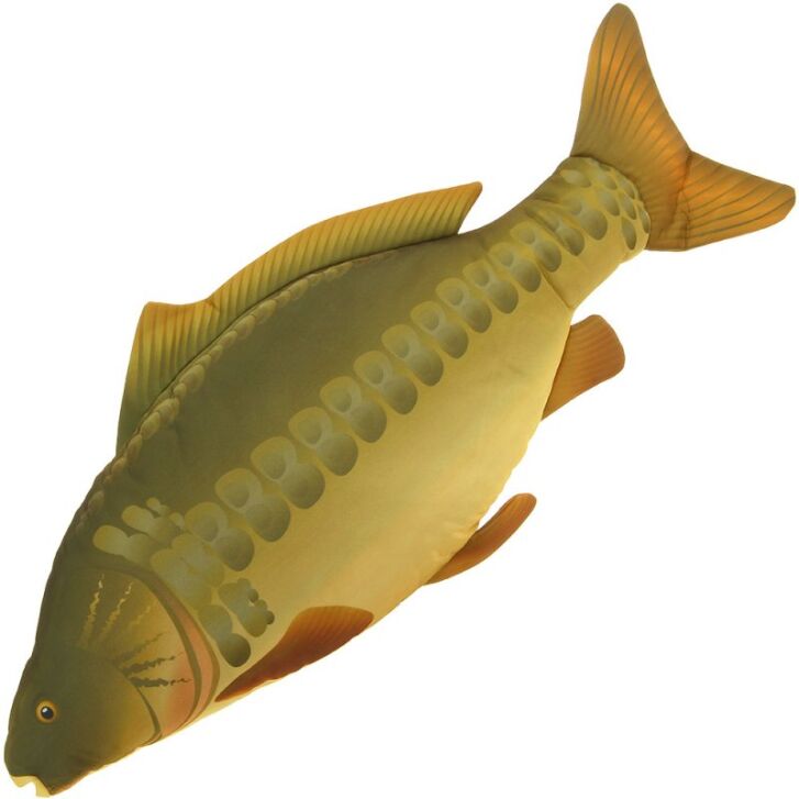 Knuffeldier / kussen Karper 70cm