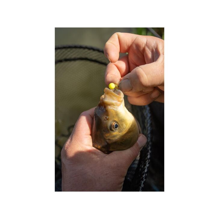 Sonubaits Spikeum Wafter BANOFFEE
