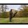 Sonik HOODY M BY THINK FISHY ART