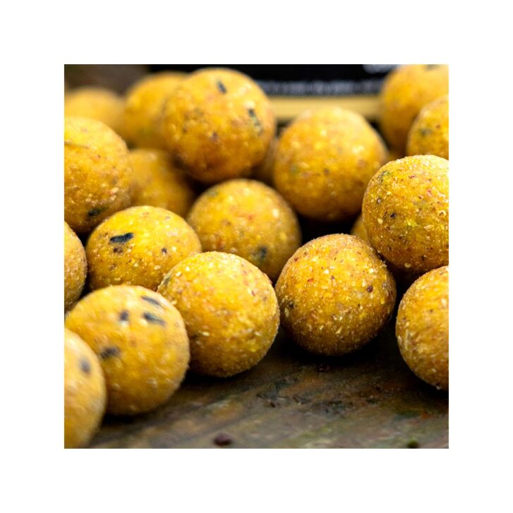 CCMoore Live System Continental 21mm 5KG