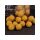 CCMoore Live System Continental 21mm 5KG
