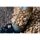 Preston Bait Up Window Feeder 30g