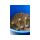 Preston Bait Up Window Feeder 30g