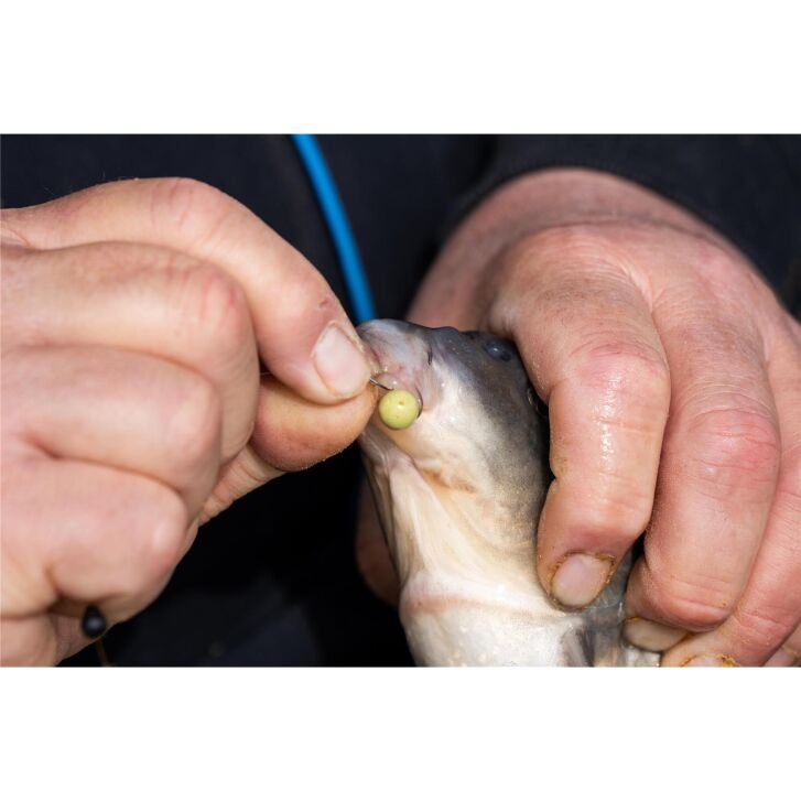 Sonubaits Spikeum Wafter Meaty Mussel