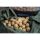 CCmoore Odyssey XXX Shelf Life 24mm 1kg