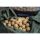 CCmoore Odyssey XXX Shelf Life 24mm 1kg